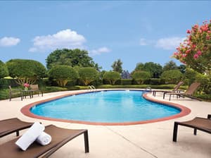 thumbnail: Outdoor pool