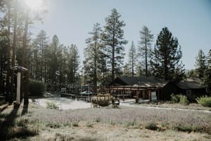 thumbnail: Bar (on property)