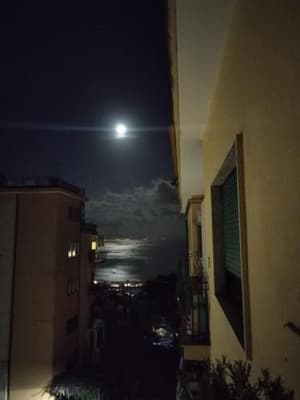 thumbnail: 522072801.jpg