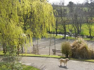 thumbnail: Property grounds