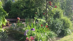 thumbnail: Property grounds