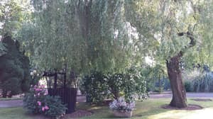 thumbnail: Property grounds