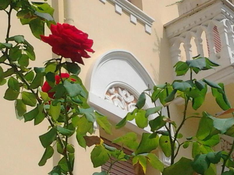 General view
