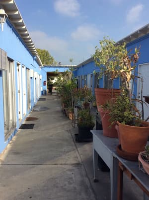 thumbnail: Courtyard