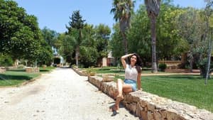 thumbnail: 28210524.jpg