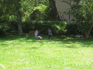 thumbnail: Property grounds
