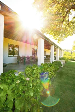 thumbnail: Garden view
