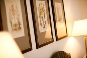 thumbnail: General view