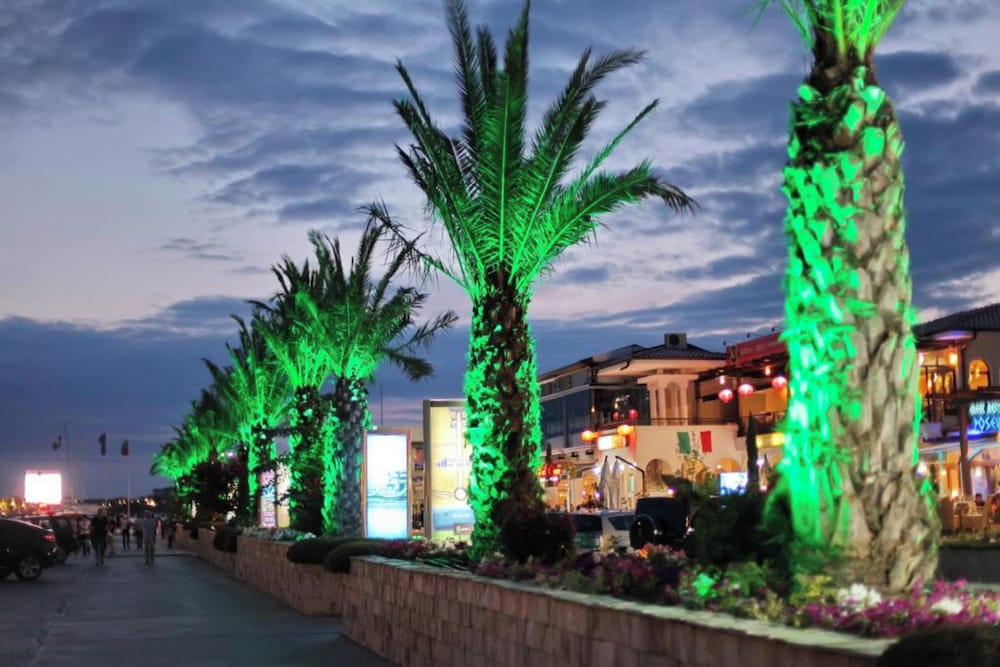 Beach bar