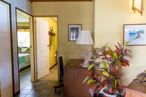 405017722.jpg
