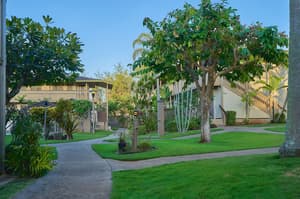 thumbnail: Garden