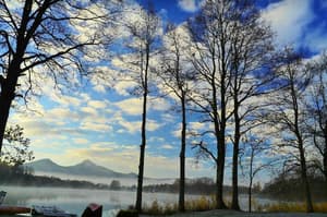 thumbnail: General view