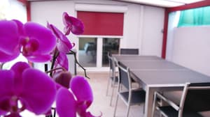 thumbnail: Terrace/patio