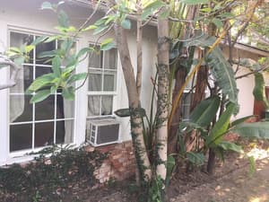 thumbnail: Terrace/patio