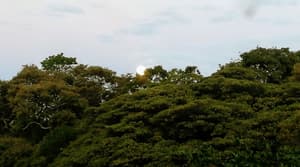 thumbnail: View from property