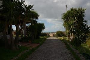 thumbnail: Property grounds