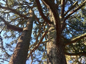 thumbnail: General view