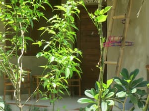 thumbnail: Terrace/patio