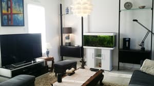 thumbnail: Interior