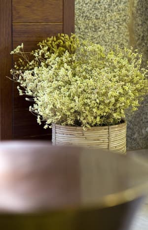 thumbnail: Interior