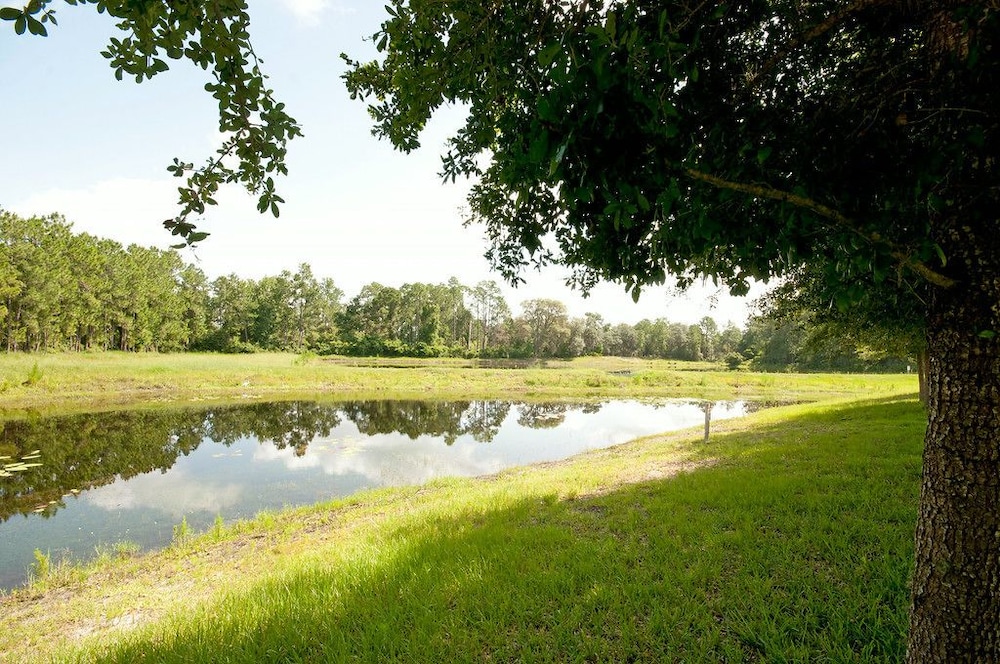 Natural pool