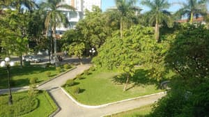 thumbnail: General view