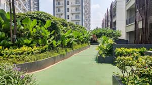 thumbnail: Garden