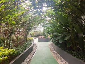 thumbnail: Garden