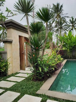 thumbnail: Garden