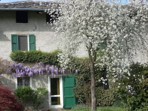 thumbnail: Exterior