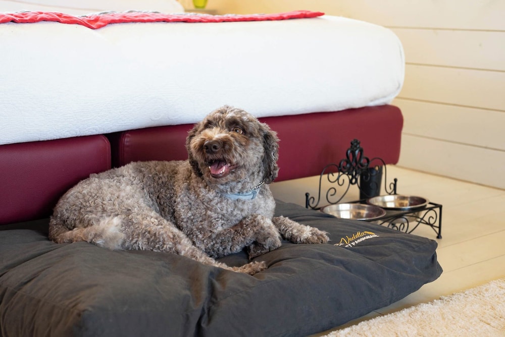 Pet-friendly