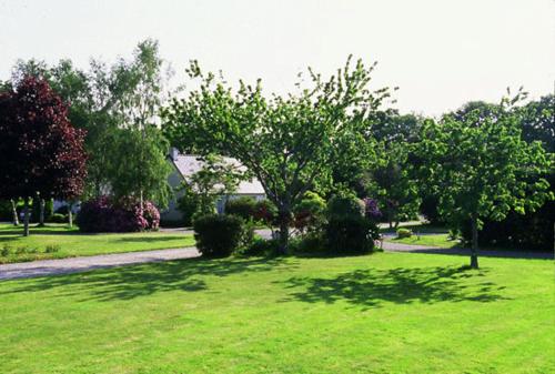 4010515.jpg