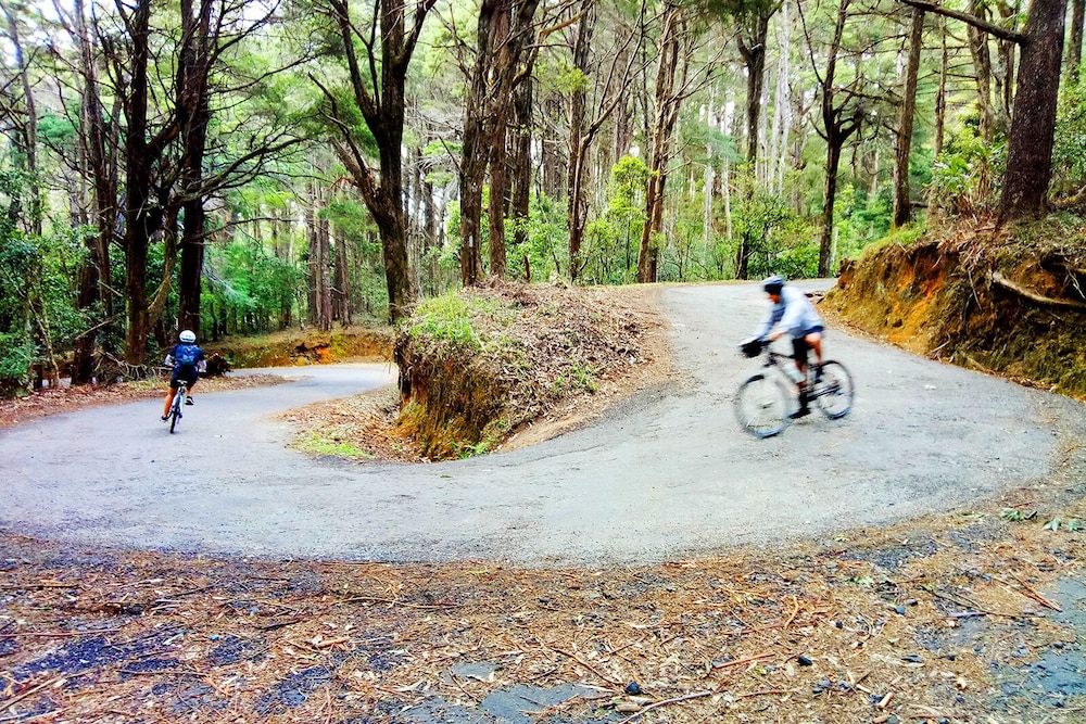 Bicycling