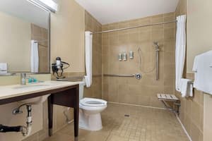 thumbnail: Accessible bathroom