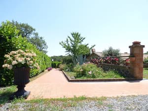 thumbnail: Terrace/patio