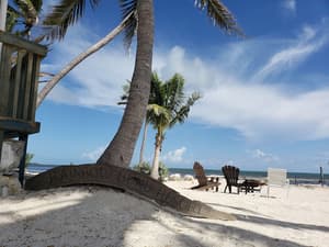 thumbnail: Beach