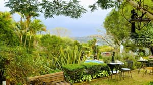 thumbnail: Terrace/patio