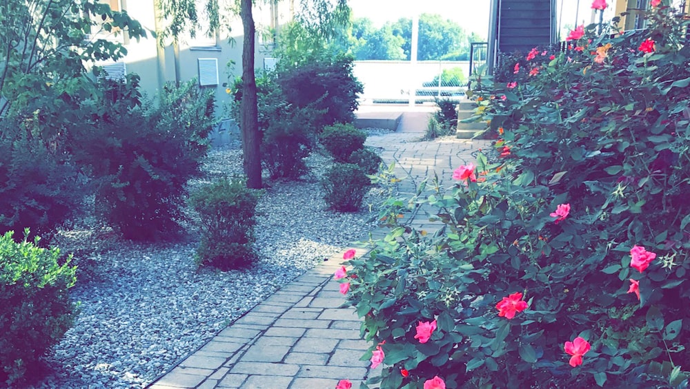 Courtyard view
