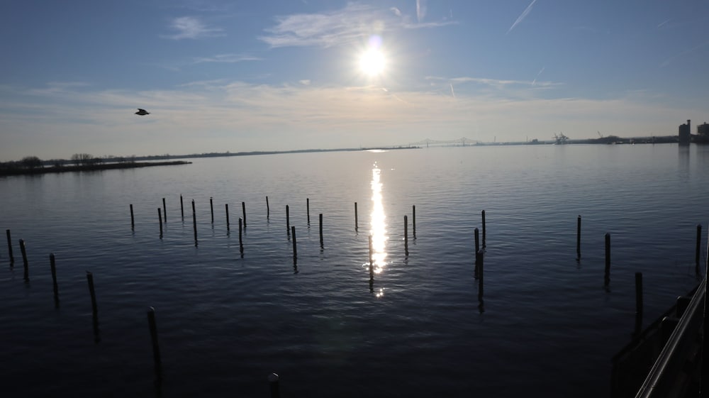 Water view