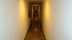 thumbnail: 65509645.jpg