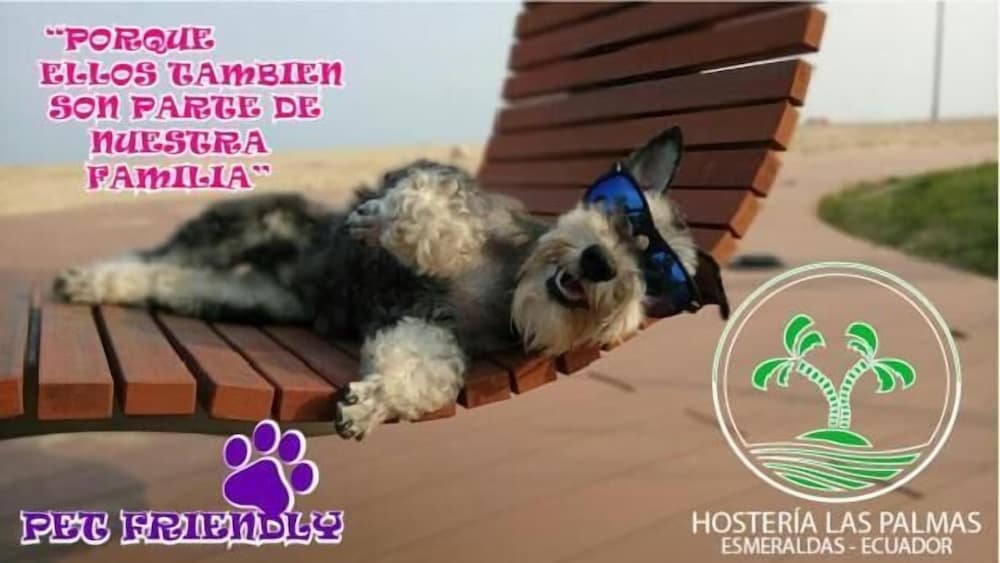 Pet-friendly