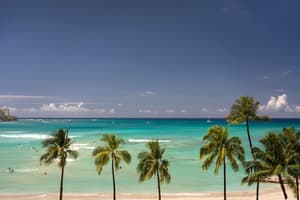 thumbnail: View from room