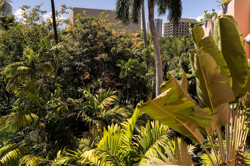 View from room
