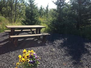 thumbnail: Property grounds