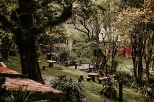 thumbnail: Terrace/patio
