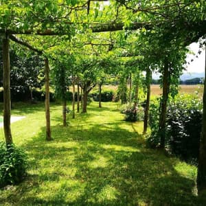thumbnail: Garden