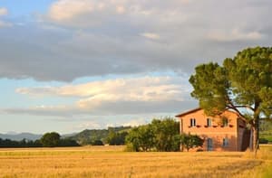 thumbnail: Property grounds