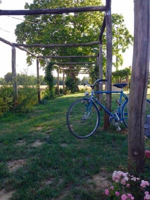 thumbnail: Bicycling