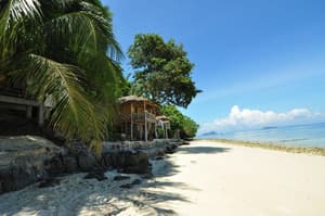 thumbnail: General view