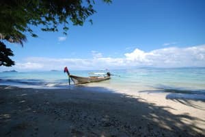 thumbnail: General view